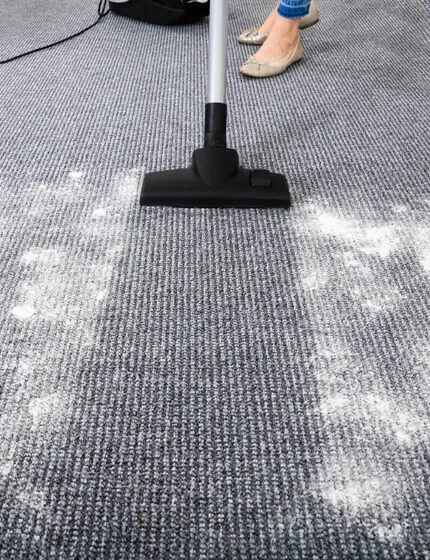 Preserving Light-Toned Carpets Against Daily Grime: Top Carpet Cleaning Service in Macomb Township, MI