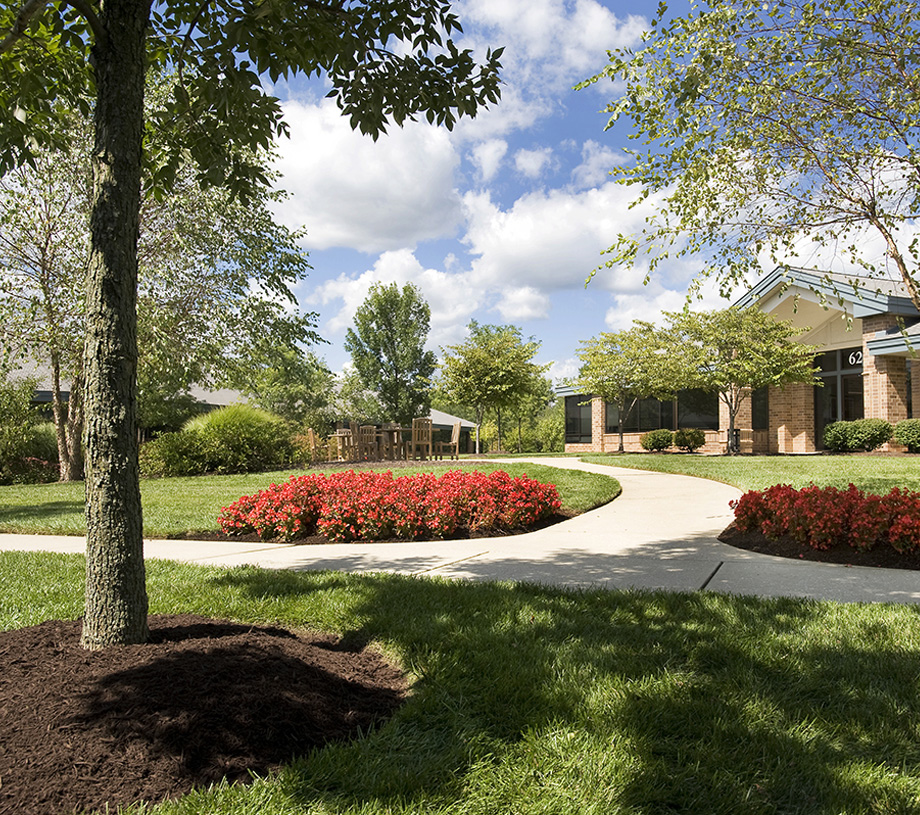 How Professional Outdoor Services Can Transform and Protect Your Property post thumbnail image