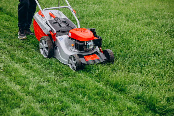 How to Create a Beautiful Lawn With Less Maintenance post thumbnail image